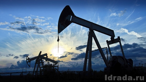 Роснефть сможет выдержать цену на нефть и в $30 за баррель